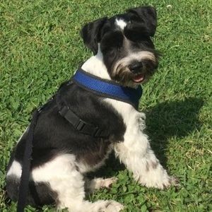 Meet your Posher, Bella